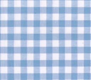 Cotton + Steel Checkers Yarn Dyed Gingham Woven 1/2" Sky