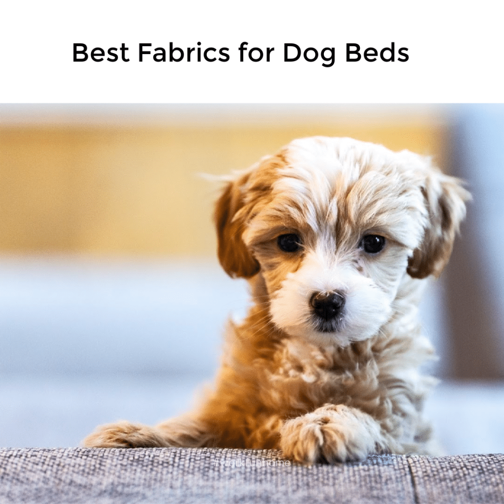 best fabrics for dog beds