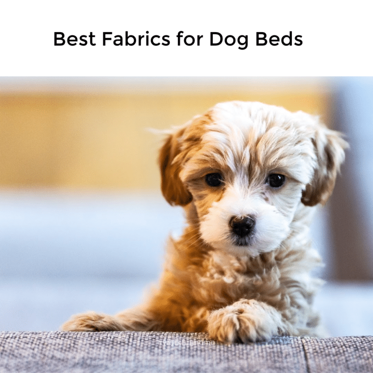 5 Best Fabrics for Dog Beds